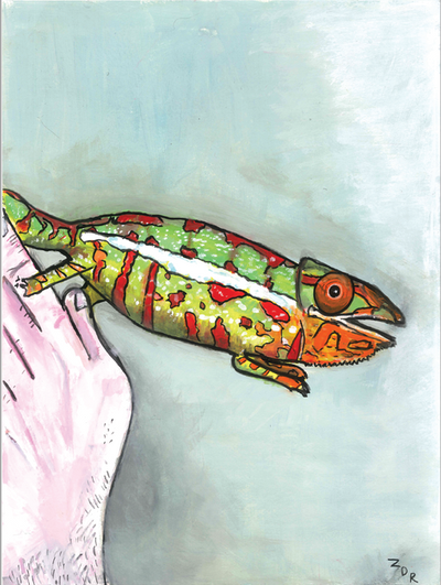 chameleon, pet portrait, lizard, chameleon painting, exotic pets
