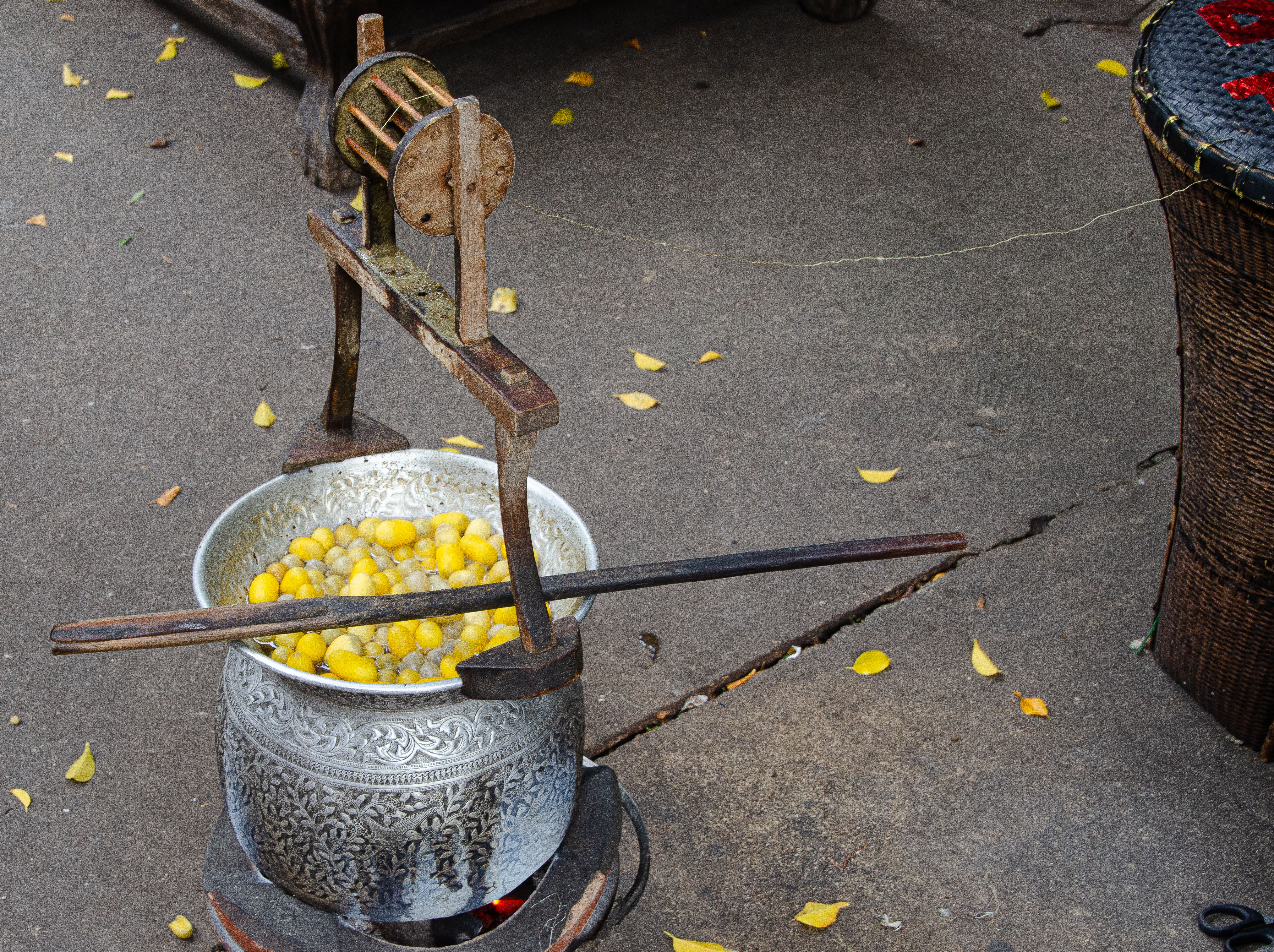 Silk making boiling cocoons