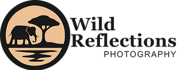 The Wild Reflections Photography logo and home button.  Features and Elephant and tree of the Savanah next to a reflective lake.