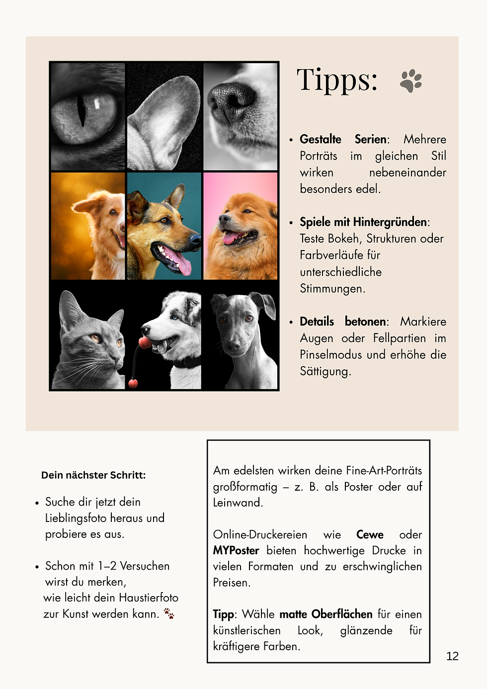 Eine Beispielseite aus dem Mini-Kurs "Vom Schnappschuss zum Fine-Art-Porträt"