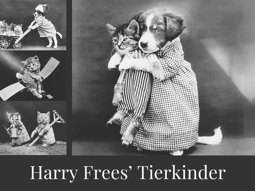 Harry Whittier Frees – Tierfotografie zwischen Kuriosität und Tierquälerei