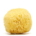 Natural Sea Sponge