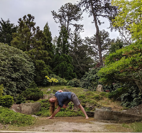 Meditation & Yoga in the Mytoi Gardens.jpeg