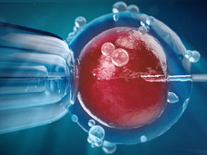 Inseminação Artificial: quando funciona, para quem é indicada e como é o processo