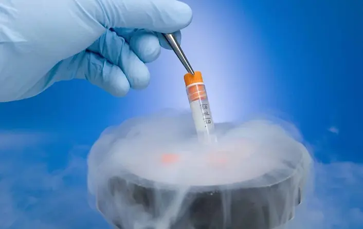 congelamento de óvulos.jpg