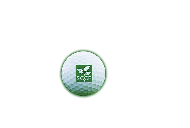 Driving Philanthropy logo trans.png