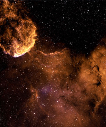 Jellyfish filter ddp SHO copy.jpeg