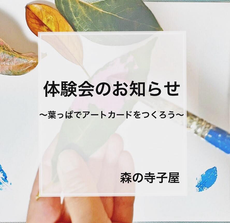 🌳森の寺子屋 体験会のお知らせ