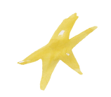 スクリーンショット 2023-11-28 13.32_edited.png