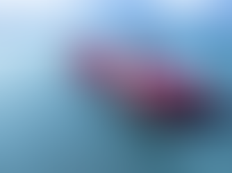 ONE and MTI Establish Joint Venture “QUAVEO” in Vietnam Leading the Shipping Industry's DX with AI to Create New Value