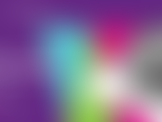 INTERVIEW WITH GYORGY FIRBAS, COMMERCIAL EXECUTIVE AT ROYAL CARGO HUNGARY