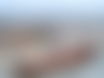 Georgia Ports welcomes Seaboard Marine’s weekly service to Latin America and Caribbean