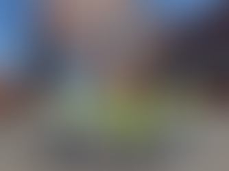 Maersk Enhances Connectivity Across the Americas with New Manzanillo Depot