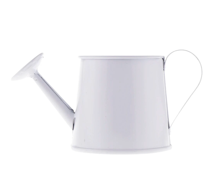Mini Metal Iron Watering Can