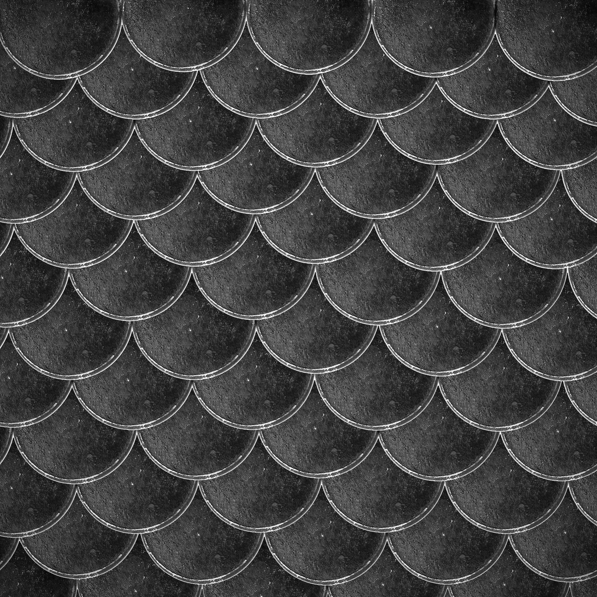 Orca Swim Trainer - MEDIUM