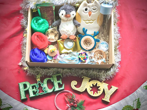 Xmas bizi box main.jpeg