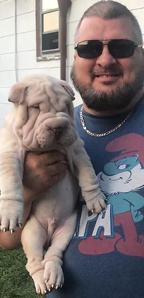 living roc shar pei