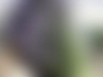 Nutrition Tips For Stress Reduction