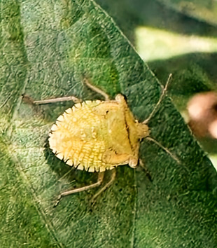 984bcdc3-97c3-4179-85c7-17c9d5651bc4_edited.jpg