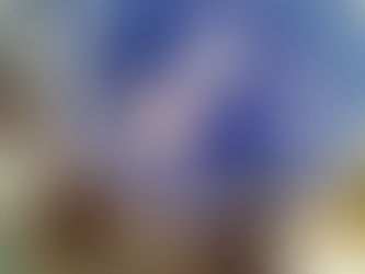 王室コロネーショングッズ入荷しました