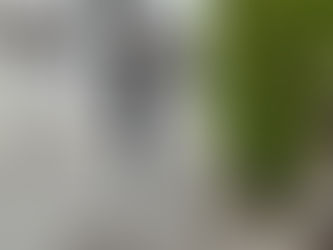 ストーカー対策車両検査