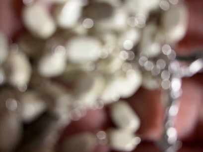 生きるための祈り