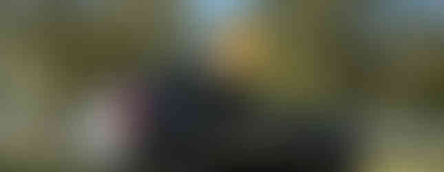 Volvo XC60 - Heckansicht