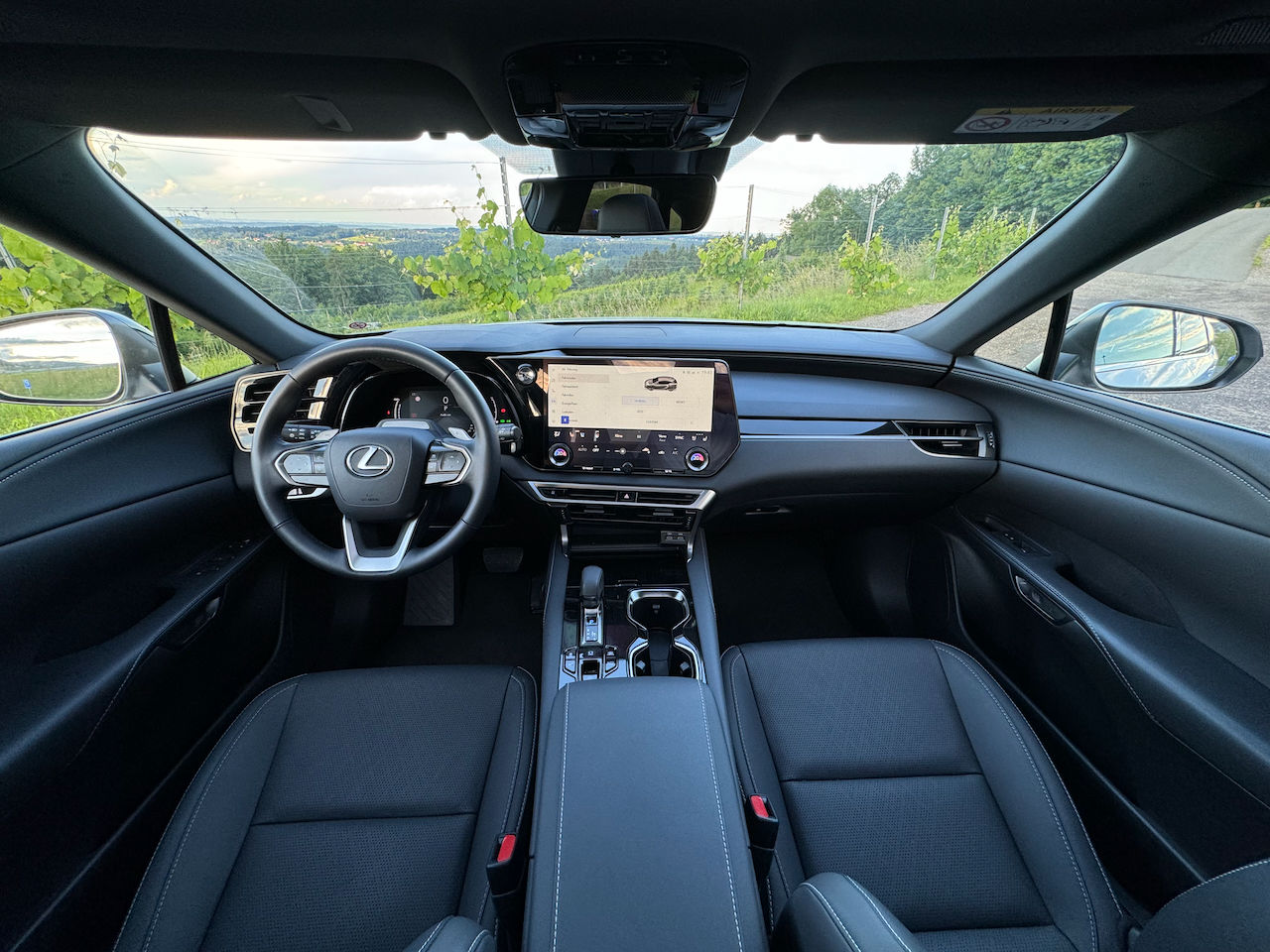 Lexus RX 450h+ – Platzangebot