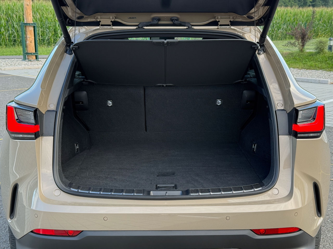Lexus NX 350h © Garms | 2025