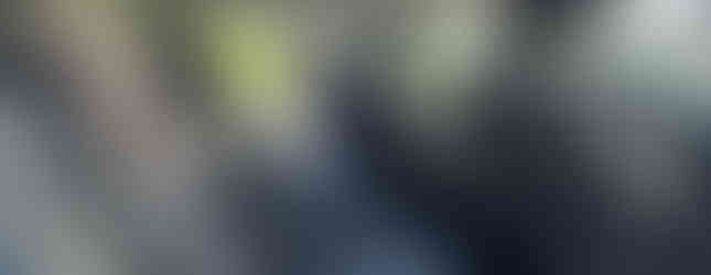 Ford Focus Turnier – Rücksitze