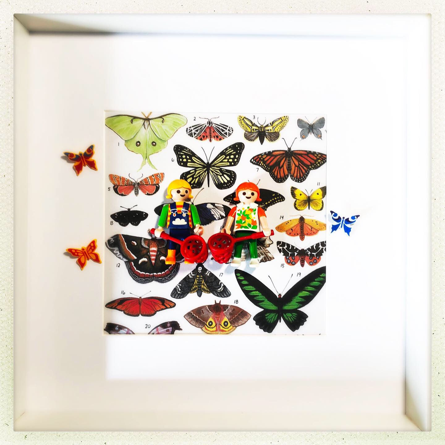 Chasse aux papillons