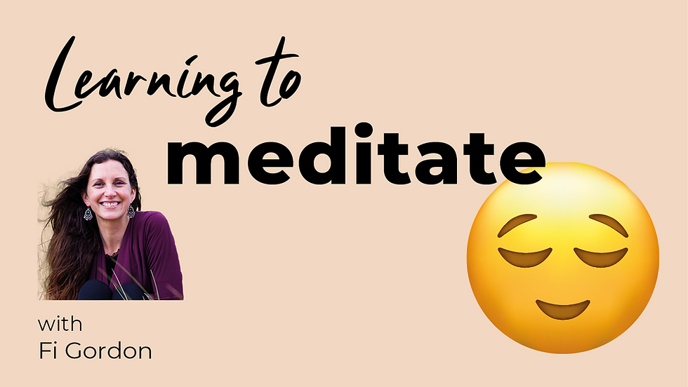 Learning to Meditate