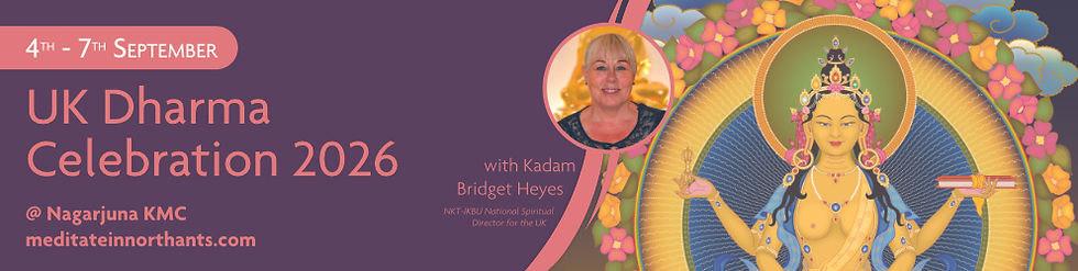UKDC banner (1).jpg