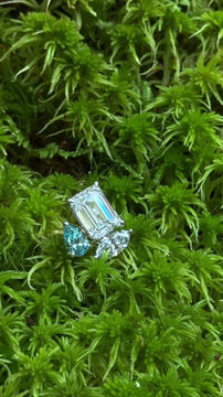 Thumbnail: Le Feuillag Cocktail Diamond Ring