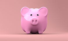 Piggy Bank