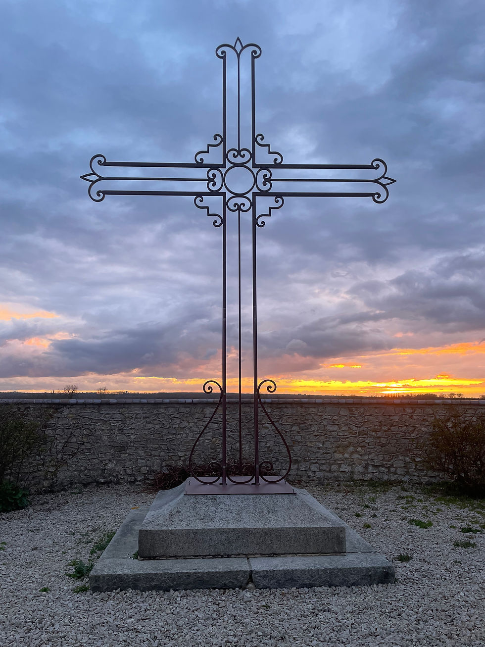 IMG_20250507_142643[1]