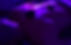DSC01511.JPG