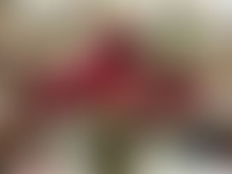 Valentine's Day Flower Arrangements: Timeless Romance Meets 2026