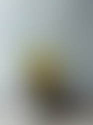 Ikebana flower arrangement