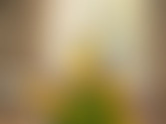 Ikebana flower arrangement