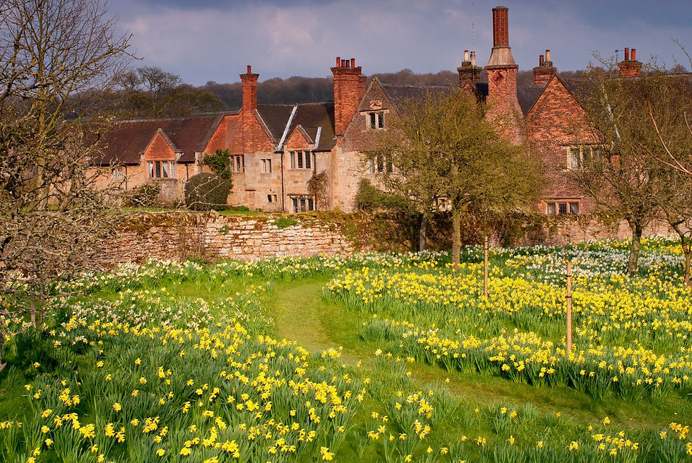 Car/Bus Ramble: Underwood - Felley Priory