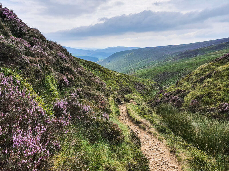 Sunday Coach Ramble - Hayfield