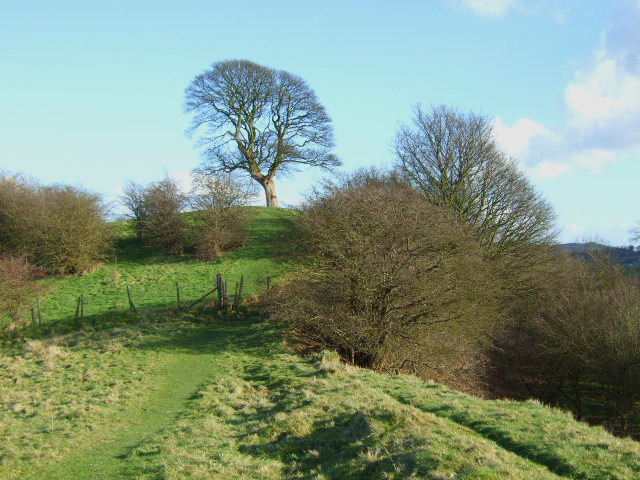 Sunday Coach Ramble - Darley Dale