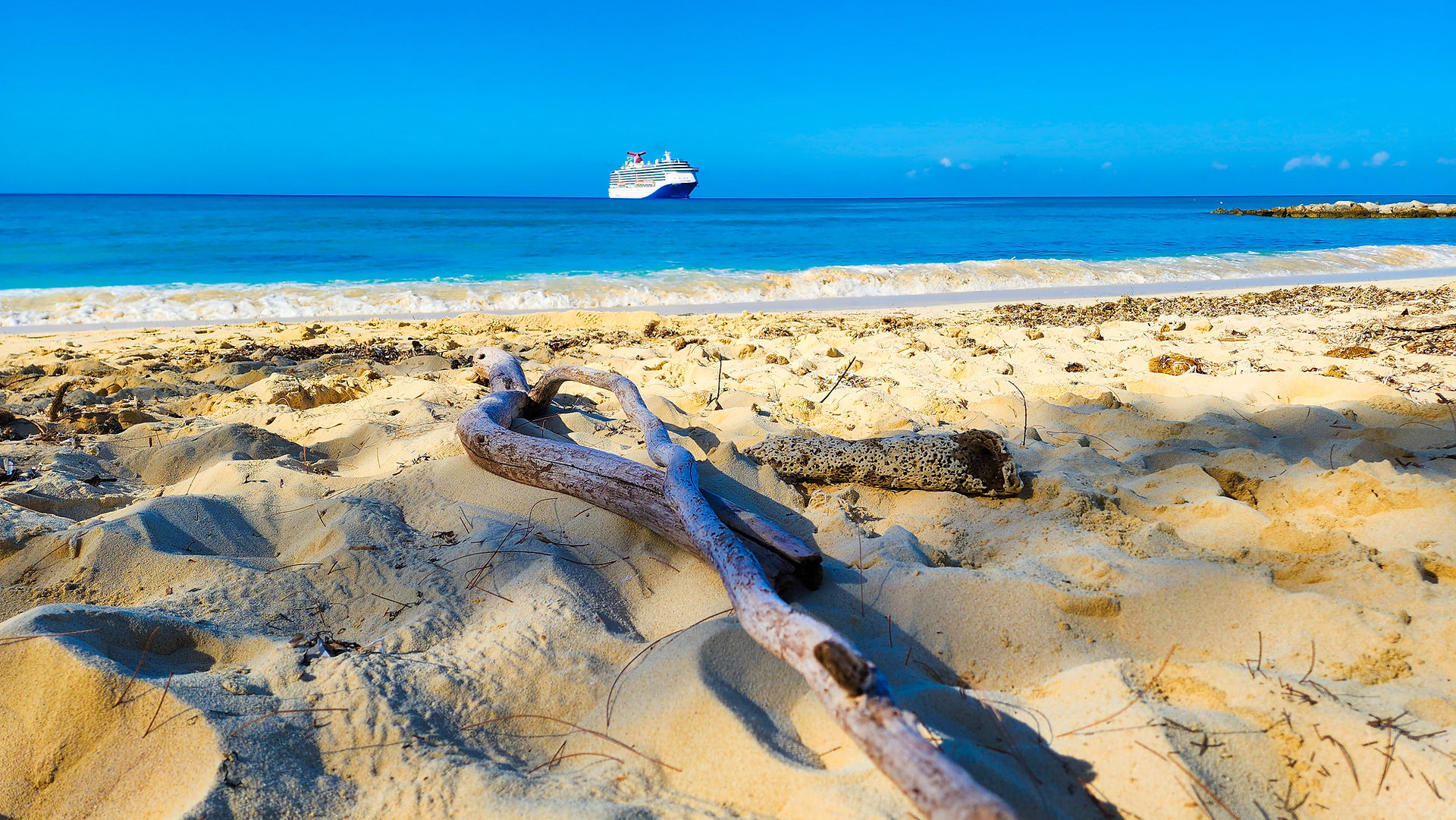 Driftwood on the Beach in Princess Cays, Bahamas