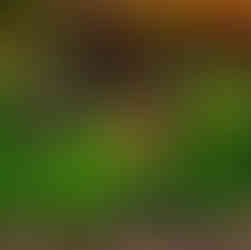 Finding Nemo 50th Anniversary Statue