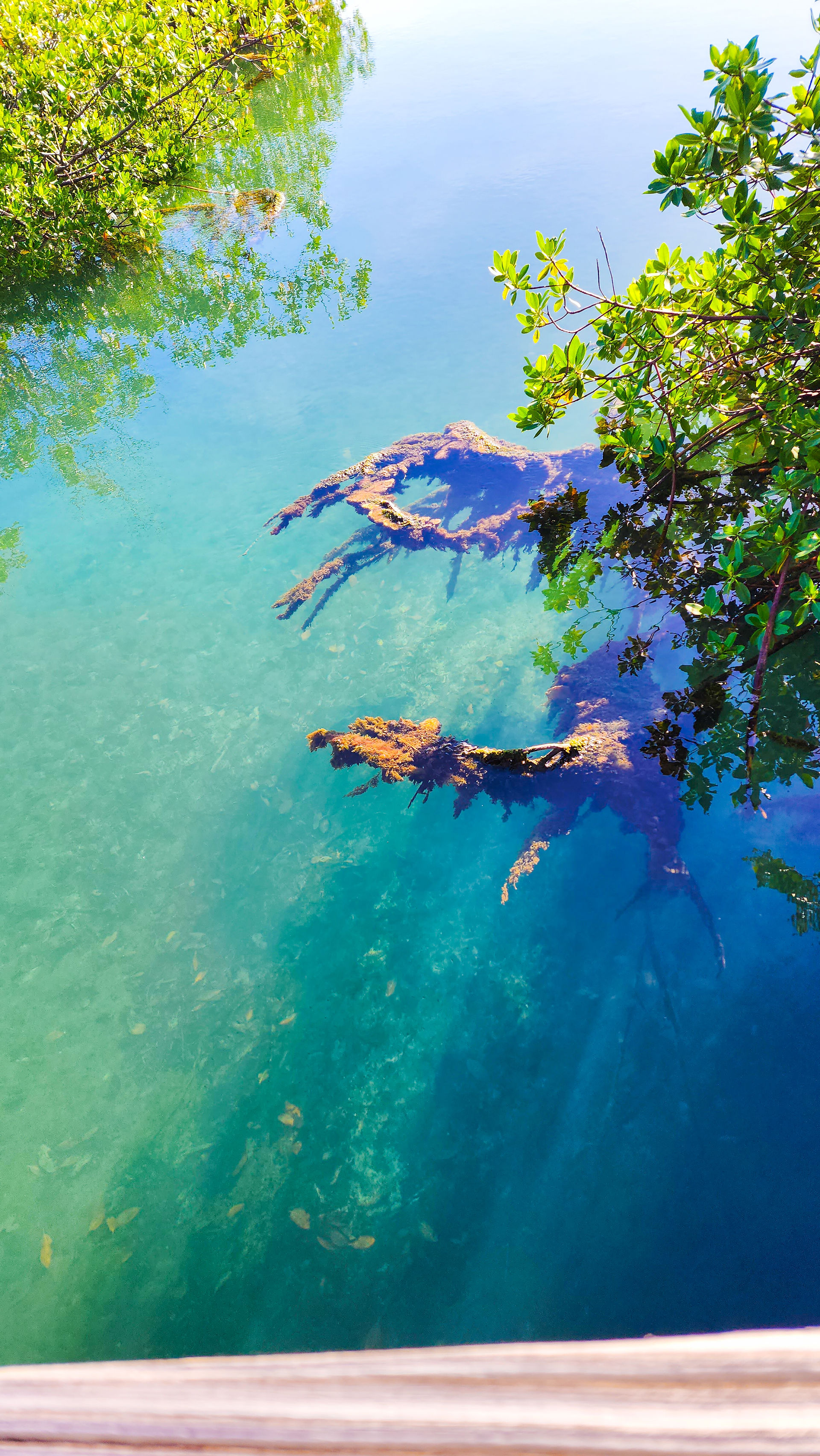 Lucayan National Park