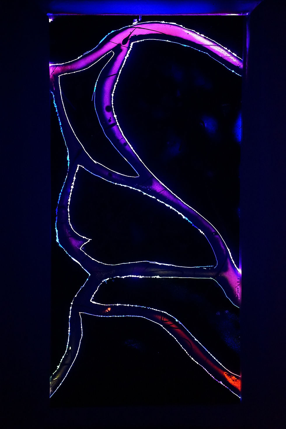 Miniaturbild: Schwarzwald