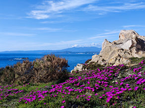 Tag 39 Olbia – Santa Teresa Gallura 85 km