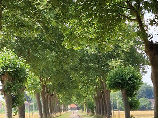 Day 4 Portailler-sur-Saône - Chagny 140 km