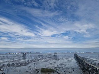 Nantes - Pont de St Nazaire - Nates 120 km